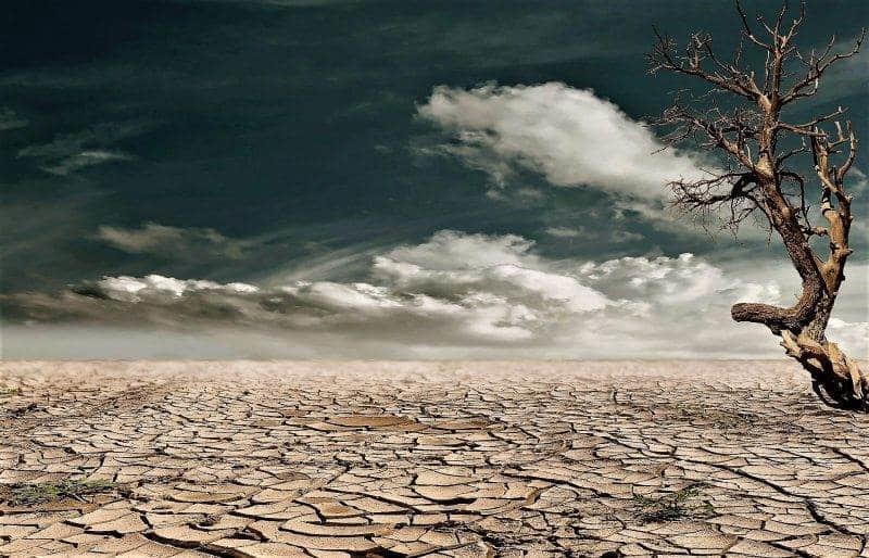 ¿Aún se puede revertir proceso de desertificación?