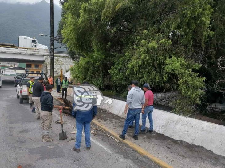 (+Video) Autoridades descartan desbordamiento del río Chiquito en Nogales