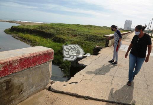 Se arriesgan en peligroso borde para ver al cocodrilo del Malecón