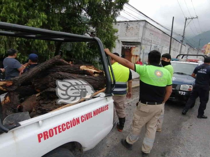 (+Video) Autoridades descartan desbordamiento del río Chiquito en Nogales