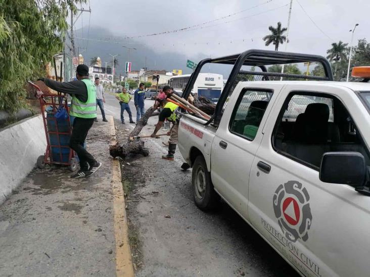 (+Video) Autoridades descartan desbordamiento del río Chiquito en Nogales