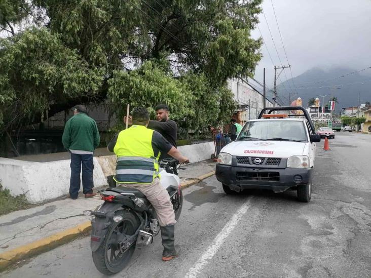 (+Video) Autoridades descartan desbordamiento del río Chiquito en Nogales