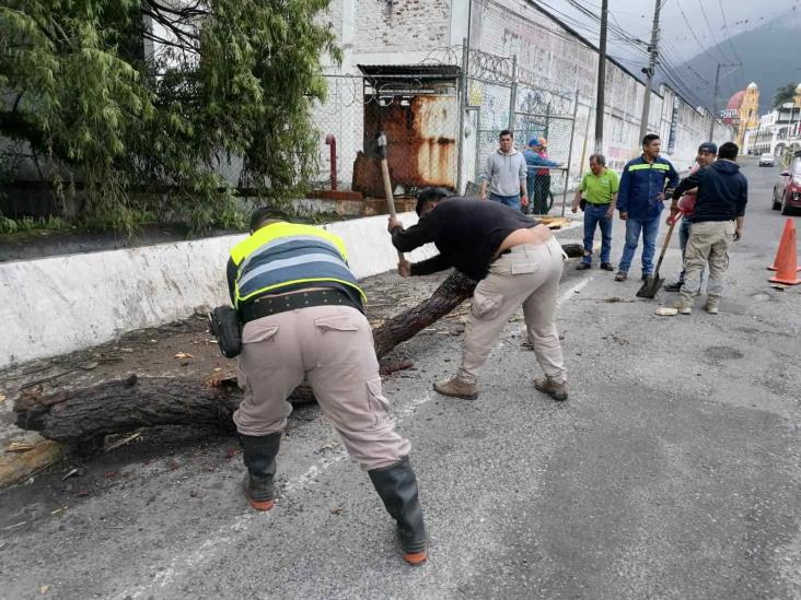 (+Video) Autoridades descartan desbordamiento del río Chiquito en Nogales