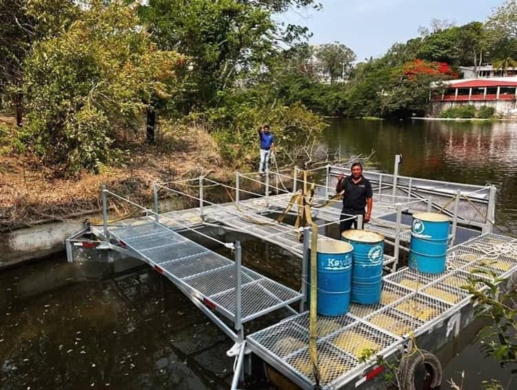 Rescatan a trabajador en embarcación recolectora de basura en Alvarado que naufragaba