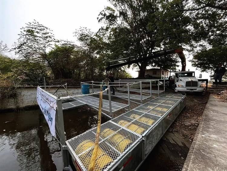 Rescatan a trabajador en embarcación recolectora de basura en Alvarado que naufragaba