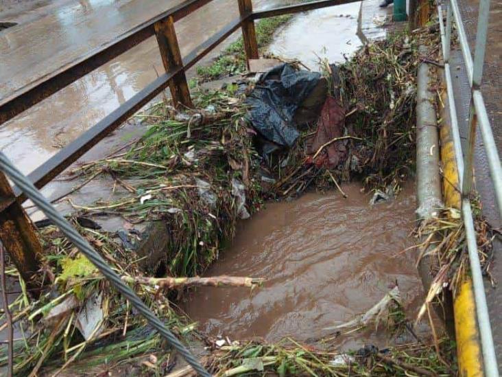 Lluvia torrencial desborda los ríos Carneros y Papas, en Xalapa