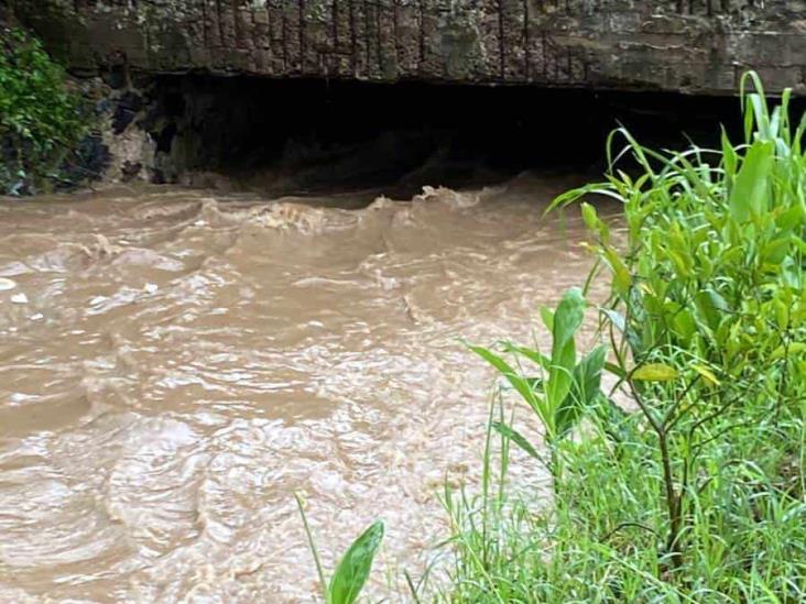 Lluvia torrencial desborda los ríos Carneros y Papas, en Xalapa