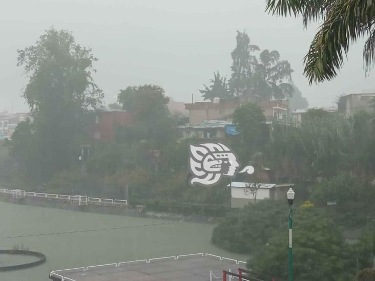 (+Video) Fuerte lluvia sorprende a xalapeños este miércoles