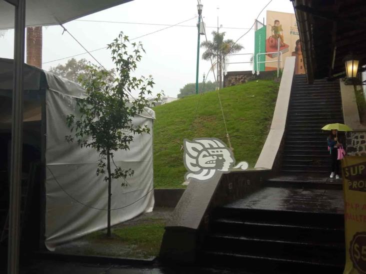 (+Video) Fuerte lluvia sorprende a xalapeños este miércoles