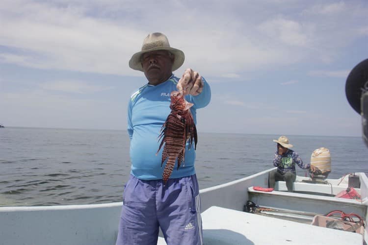 Pescador de Antón Lizardo comercializa piel y carne del pez león