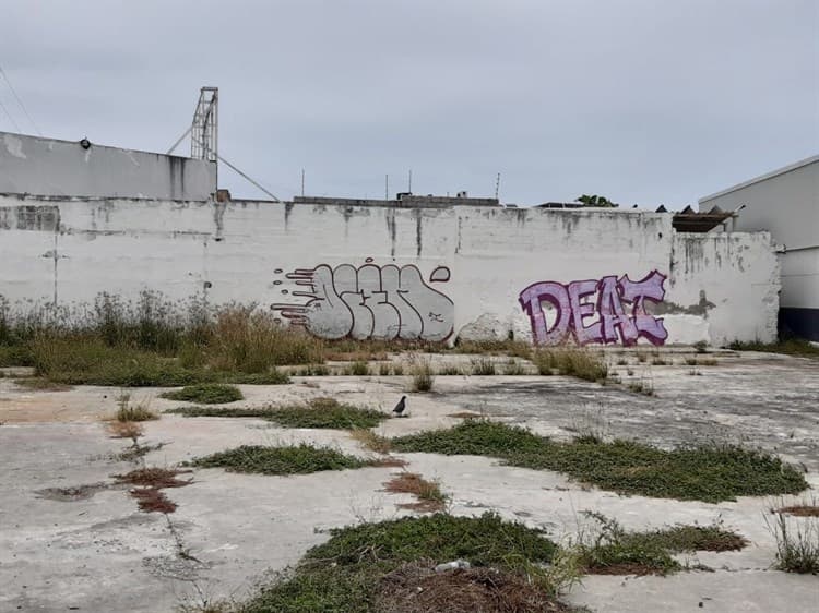 Alertan vecinos por inseguridad tras abandono de baldío utilizado por maleantes