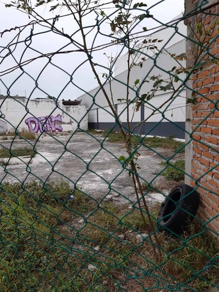 Alertan vecinos por inseguridad tras abandono de baldío utilizado por maleantes