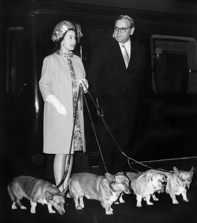 Corgis, la mascota preferida de la Reina Isabel ll ¿Qué pasará con ellos?