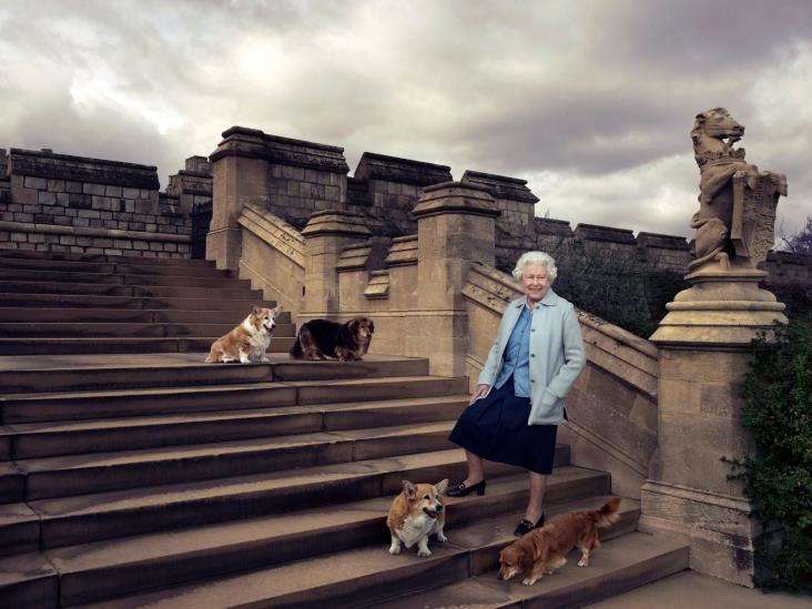 Corgis, la mascota preferida de la Reina Isabel ll ¿Qué pasará con ellos?