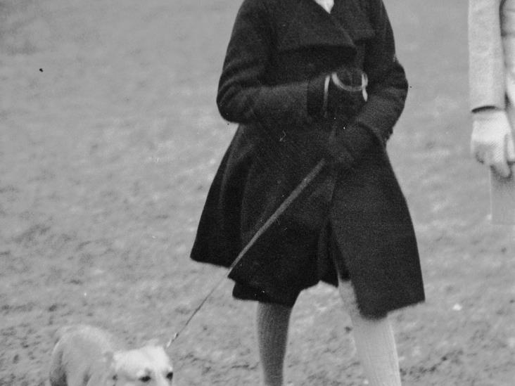Corgis, la mascota preferida de la Reina Isabel ll ¿Qué pasará con ellos?