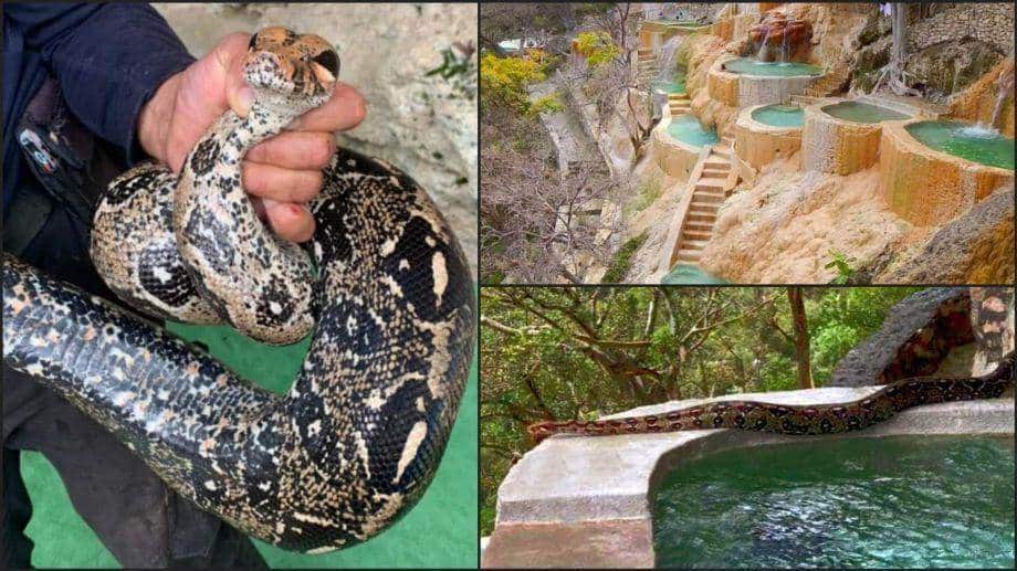 ¡Es la boa! Trabajadores encuentran serpiente en pozas de las Grutas de Tolantongo