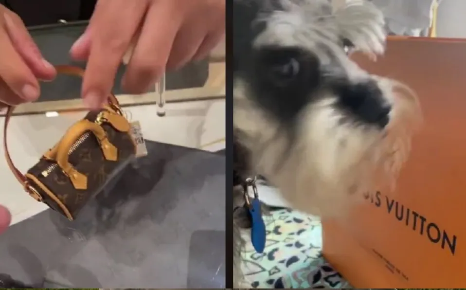 Louis Vuitton saca a la venta una bolsa para recoger heces de perro en 18 mil pesos
