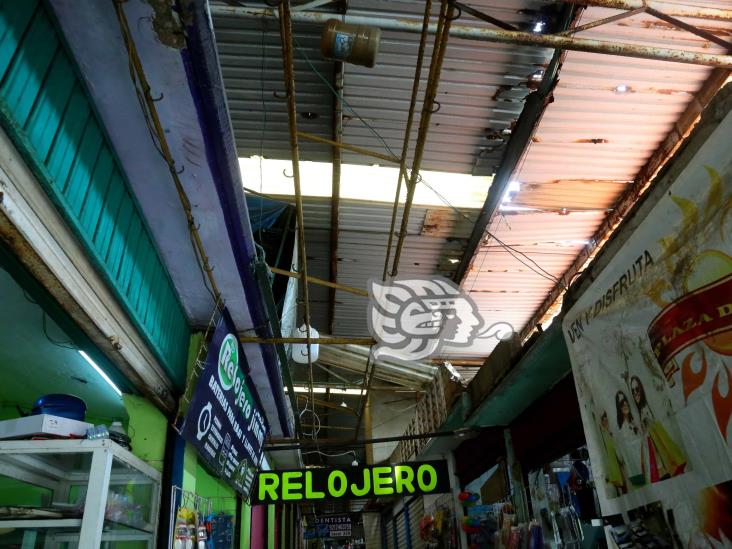 Plaza del Sol, 20 años sin mantenimiento; solicitan atención de autoridades(+Video)