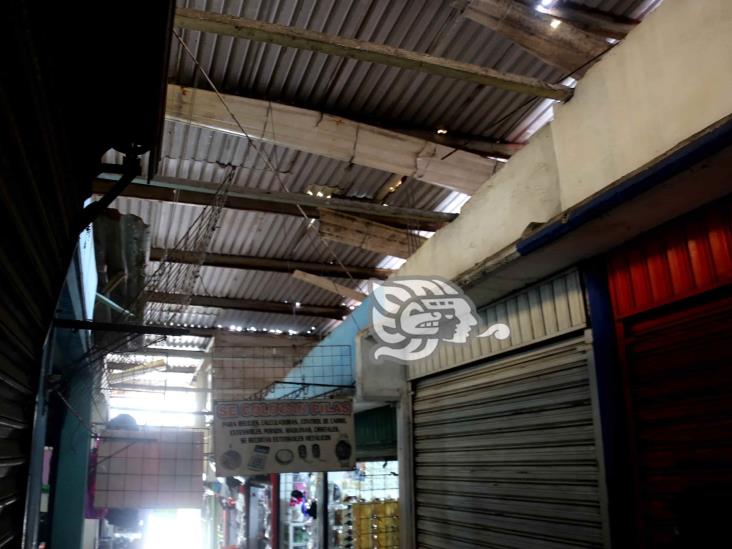 Plaza del Sol, 20 años sin mantenimiento; solicitan atención de autoridades(+Video)