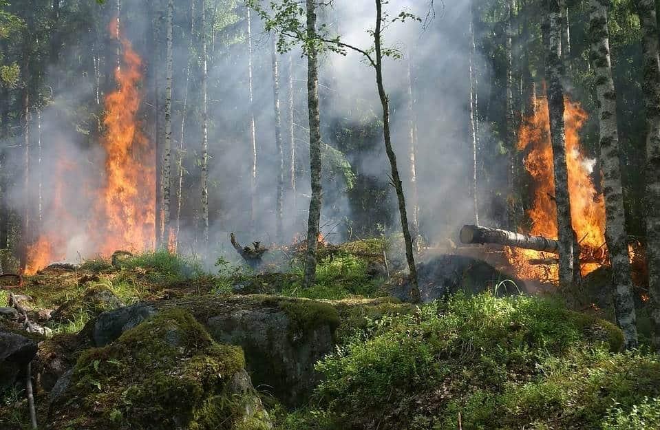 Contaminación y cambio climático aumentan riesgo de penalización climática