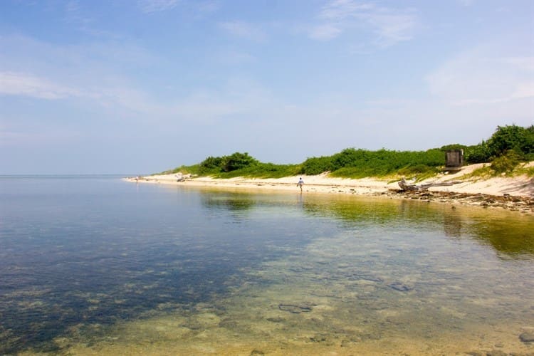 Promueve PNSAV protección a los 28 arrecifes coralinos y 6 islas
