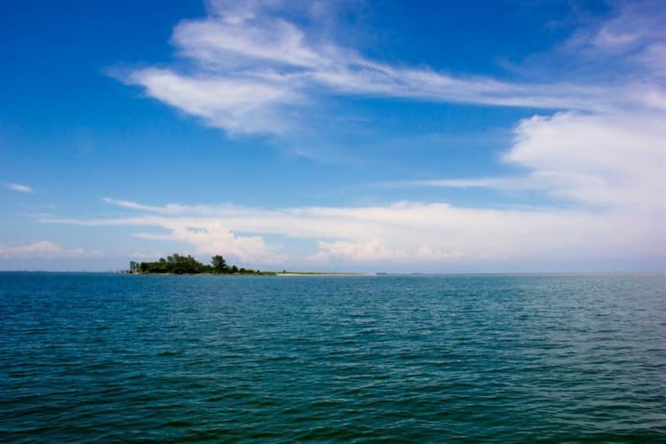 Promueve PNSAV protección a los 28 arrecifes coralinos y 6 islas