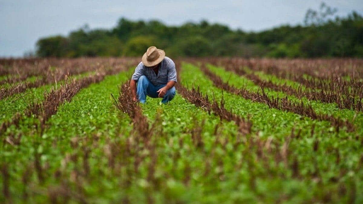 Replantear el desarrollo rural