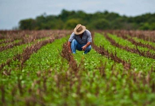 Replantear el desarrollo rural