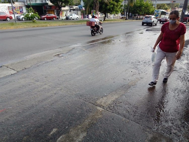 Ausencia de cruces seguros, la mayor causa de accidentes en Veracruz: experto