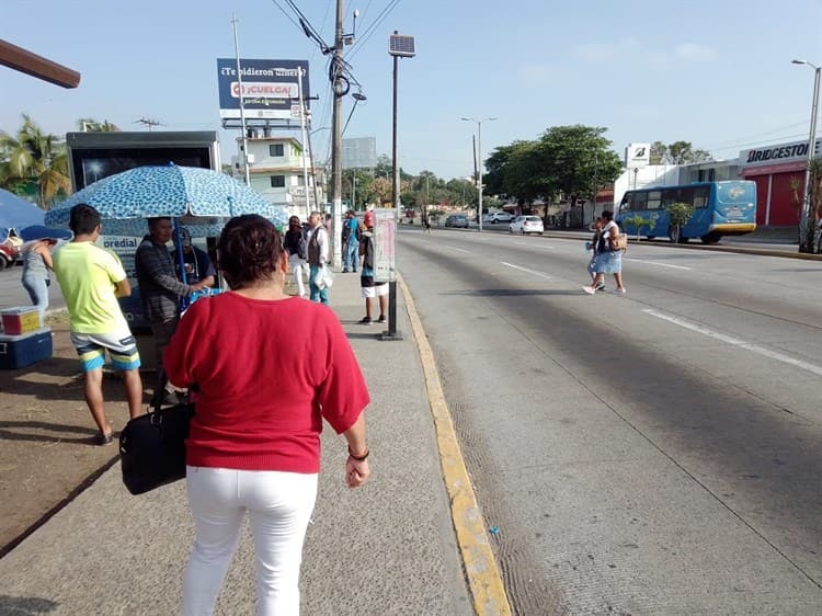 Ausencia de cruces seguros, la mayor causa de accidentes en Veracruz: experto