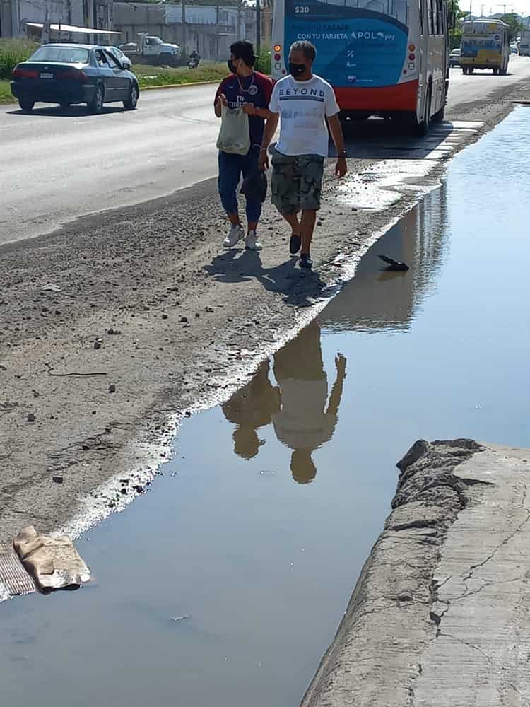 Ausencia de cruces seguros, la mayor causa de accidentes en Veracruz: experto