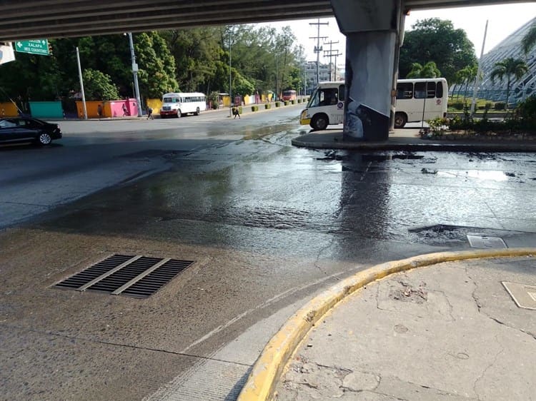 Ausencia de cruces seguros, la mayor causa de accidentes en Veracruz: experto