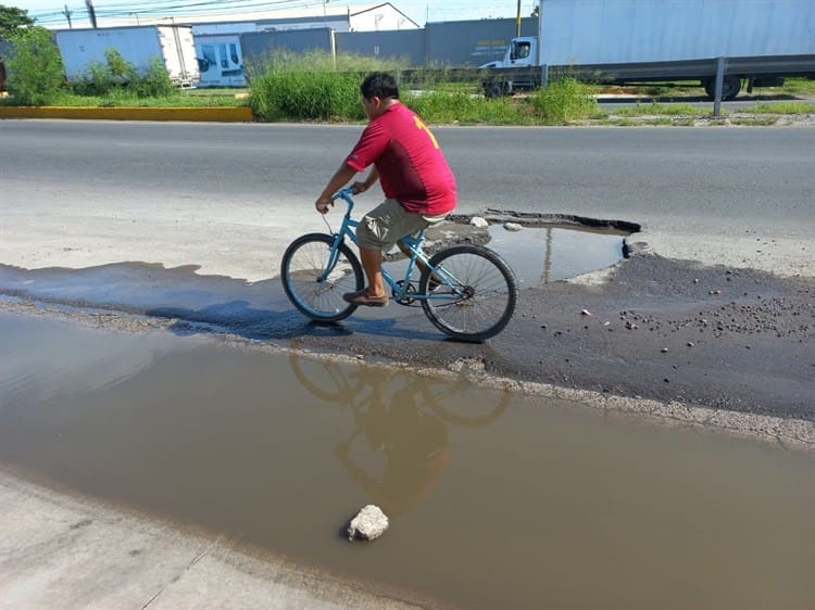 Ausencia de cruces seguros, la mayor causa de accidentes en Veracruz: experto