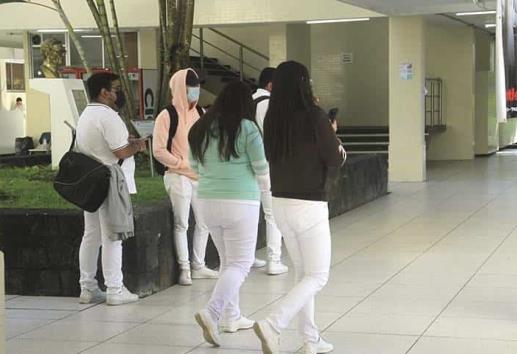 Zona universitaria de Medicina en Veracruz es un riesgo para mujeres: Colmena Verde