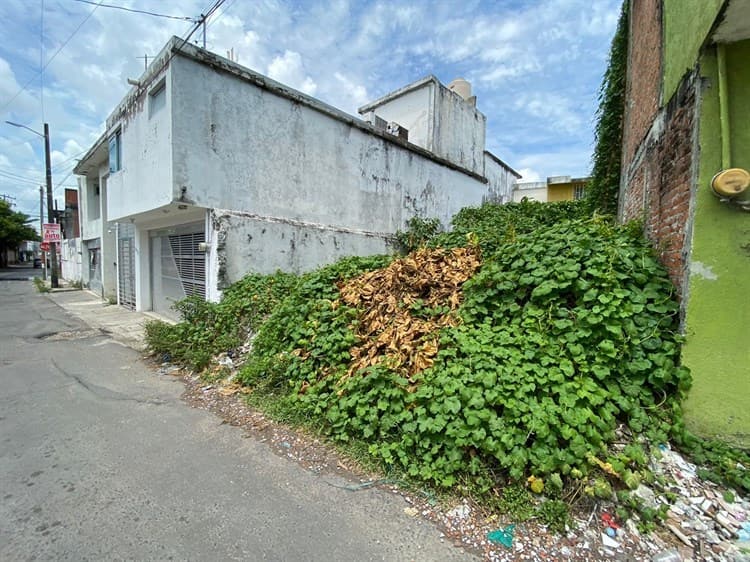 ¡De alegre nada! Vecinos de Vista Alegre en Veracruz se quejan de calles con baches