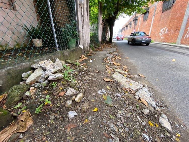 ¡De alegre nada! Vecinos de Vista Alegre en Veracruz se quejan de calles con baches