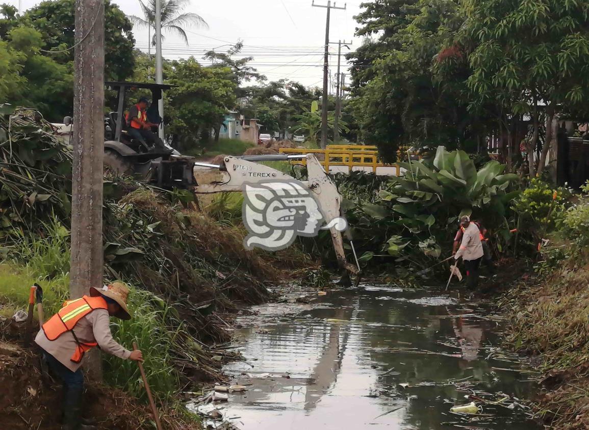 Retiran toneladas de basura y maleza en la Frutos de la Revolución