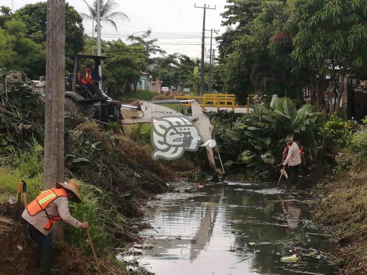 Retiran toneladas de basura y maleza en la Frutos de la Revolución