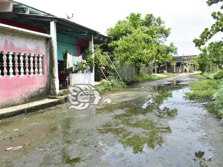 Colonia Villas de la Ribera, más de 30 años entre aguas de drenaje (+Video)