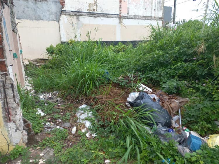 Vivienda deshabitada en Boca del Río se ha convertido insegura para habitantes