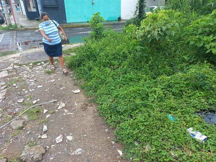 Vivienda deshabitada en Boca del Río se ha convertido insegura para habitantes