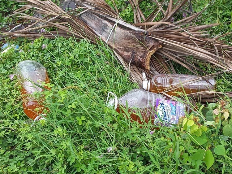 Vivienda deshabitada en Boca del Río se ha convertido insegura para habitantes