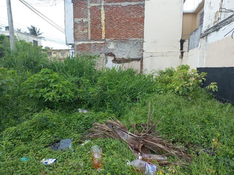 Vivienda deshabitada en Boca del Río se ha convertido insegura para habitantes