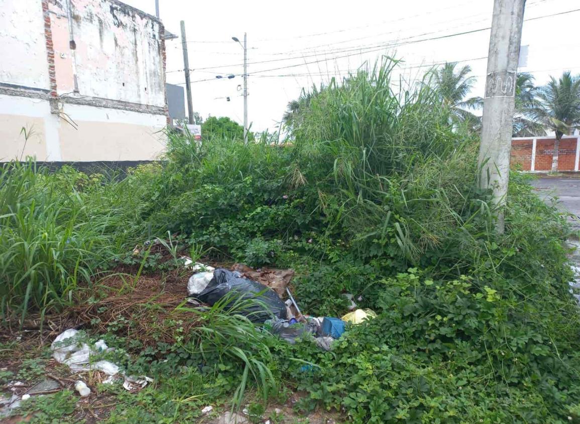 Vivienda deshabitada en Boca del Río se ha convertido insegura para habitantes