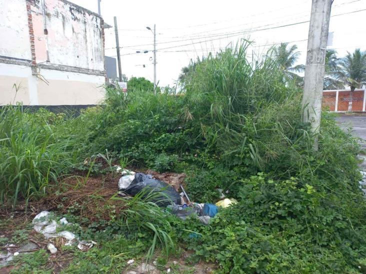 Vivienda deshabitada en Boca del Río se ha convertido insegura para habitantes