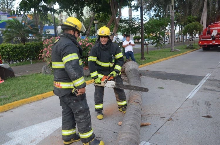 Video: Se registra aparatoso accidente en la avenida Salvador Díaz Mirón en Veracruz