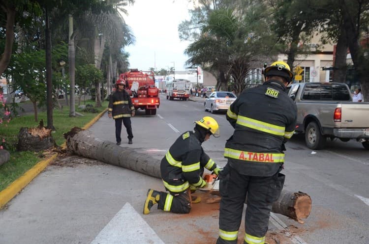 Video: Se registra aparatoso accidente en la avenida Salvador Díaz Mirón en Veracruz