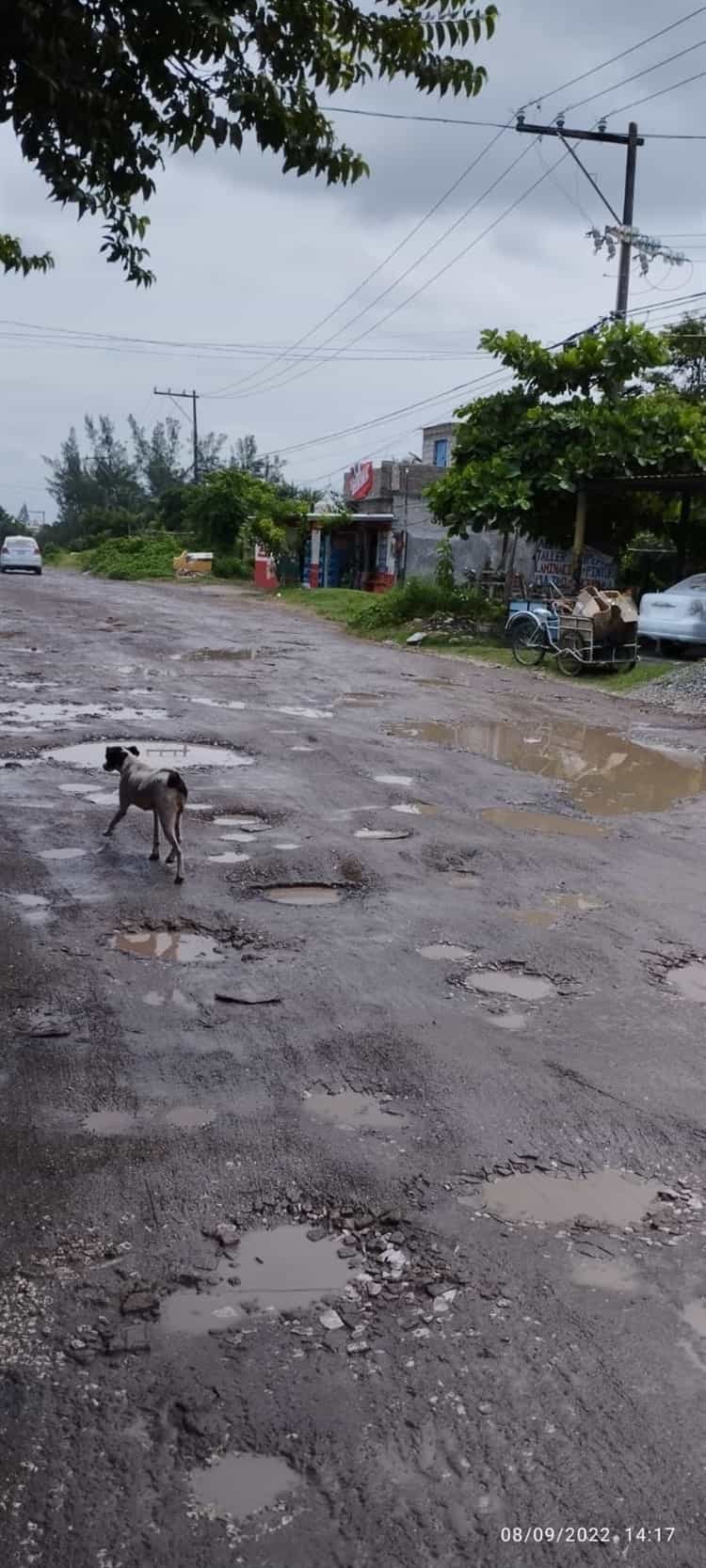 Vecinos de Laguna Real alertan por asaltos, camino con baches y falta de iluminación