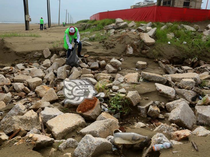 Son aptas playas de Coatzacoalcos; realizan jornada de limpieza(+Video)