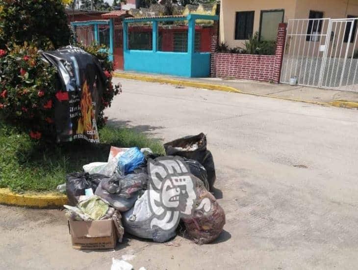 Esperan al camión recolector de basura en colonias de Coatzacoalcos